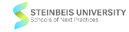 Steinbeis university logo