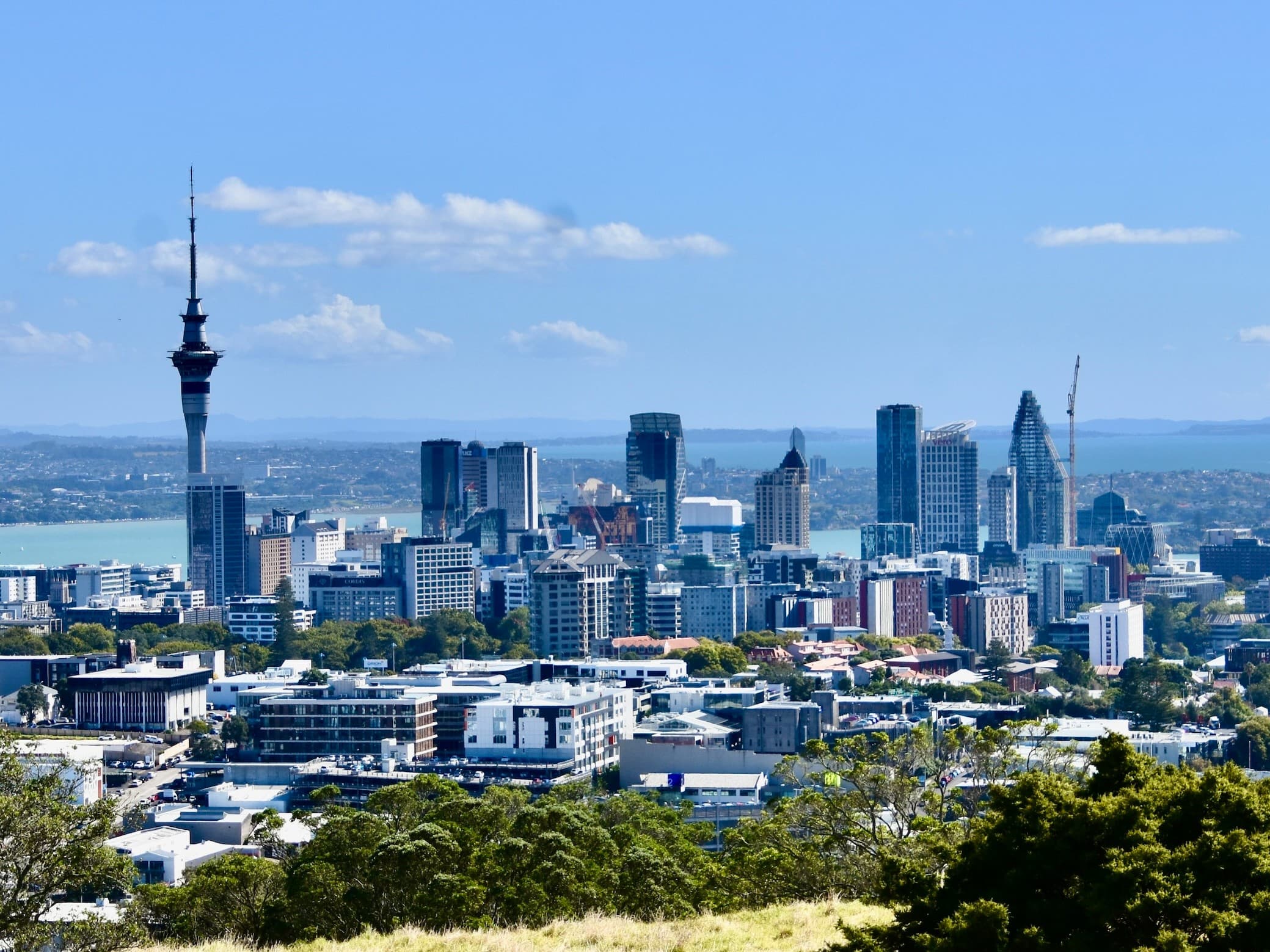 Study in New Zealand